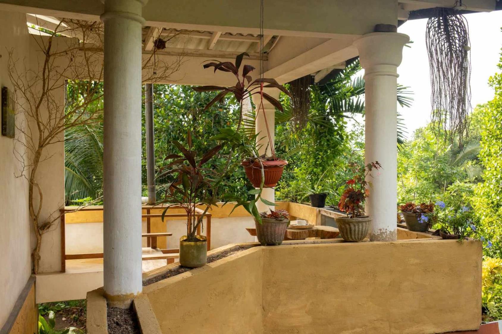 Pahalagawattha Homestay Habaraduwa Экстерьер фото