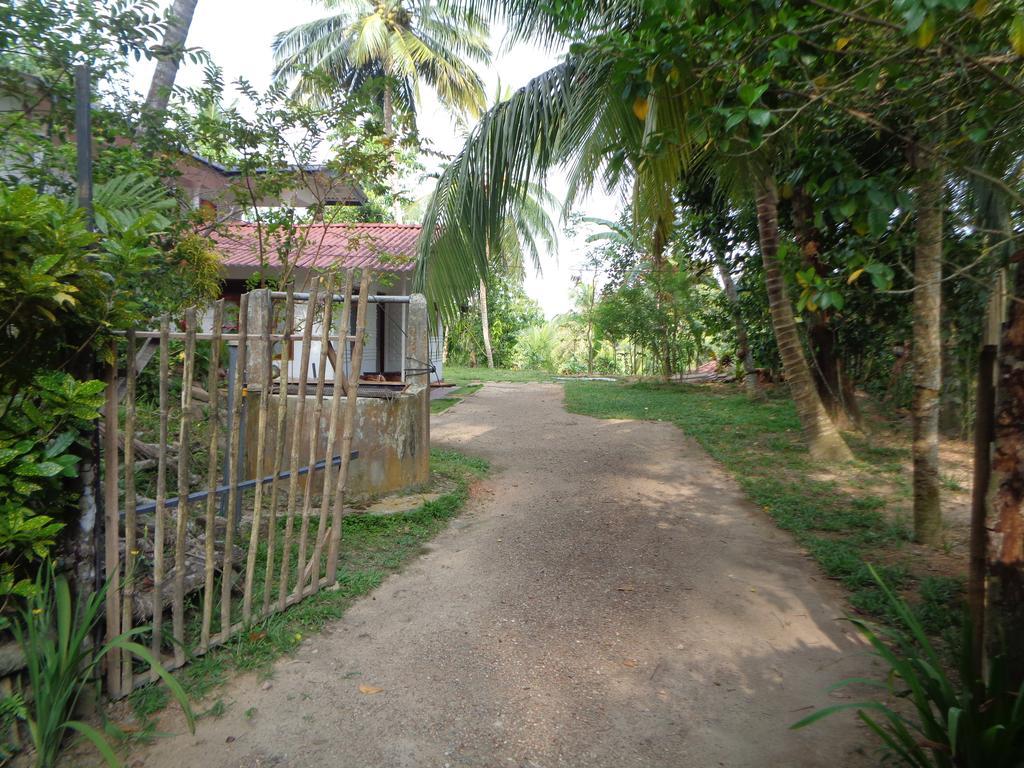 Pahalagawattha Homestay Habaraduwa Экстерьер фото