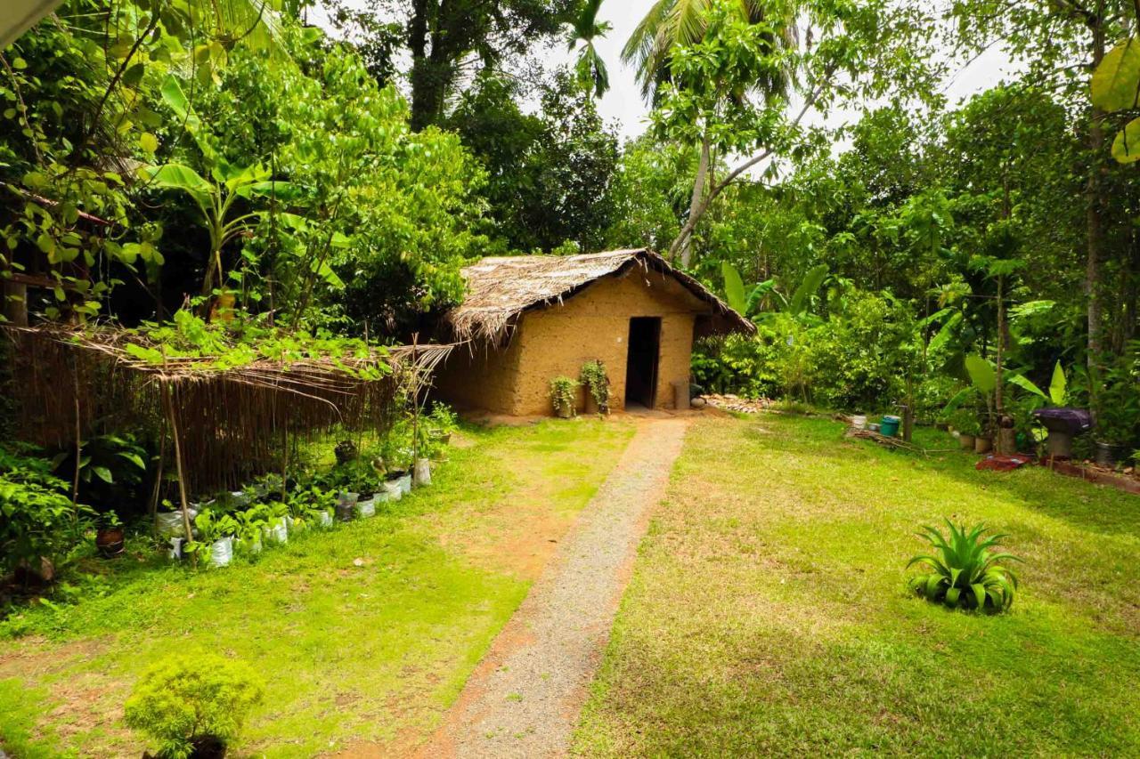 Pahalagawattha Homestay Habaraduwa Экстерьер фото