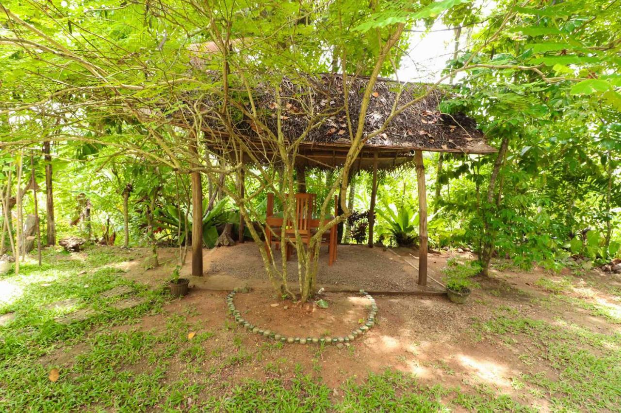 Pahalagawattha Homestay Habaraduwa Экстерьер фото